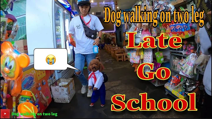 How when dog walking on two leg late to school? | Dog walking on two feet