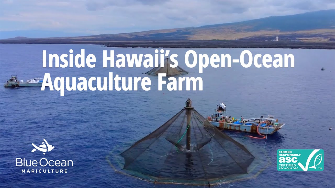 Inside Hawaii’s Open-Ocean Aquaculture Farm | ASC-Certified Sustainable Seafood