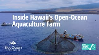 Famous Inside Hawaii’s Open-Ocean Aquaculture Farm | ASC-Certified Sustainable Seafood Wealth