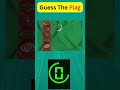 Only Geniuses Can Guess These Flags! 🌎