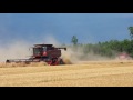 Case IH 8010, Biskach Farms