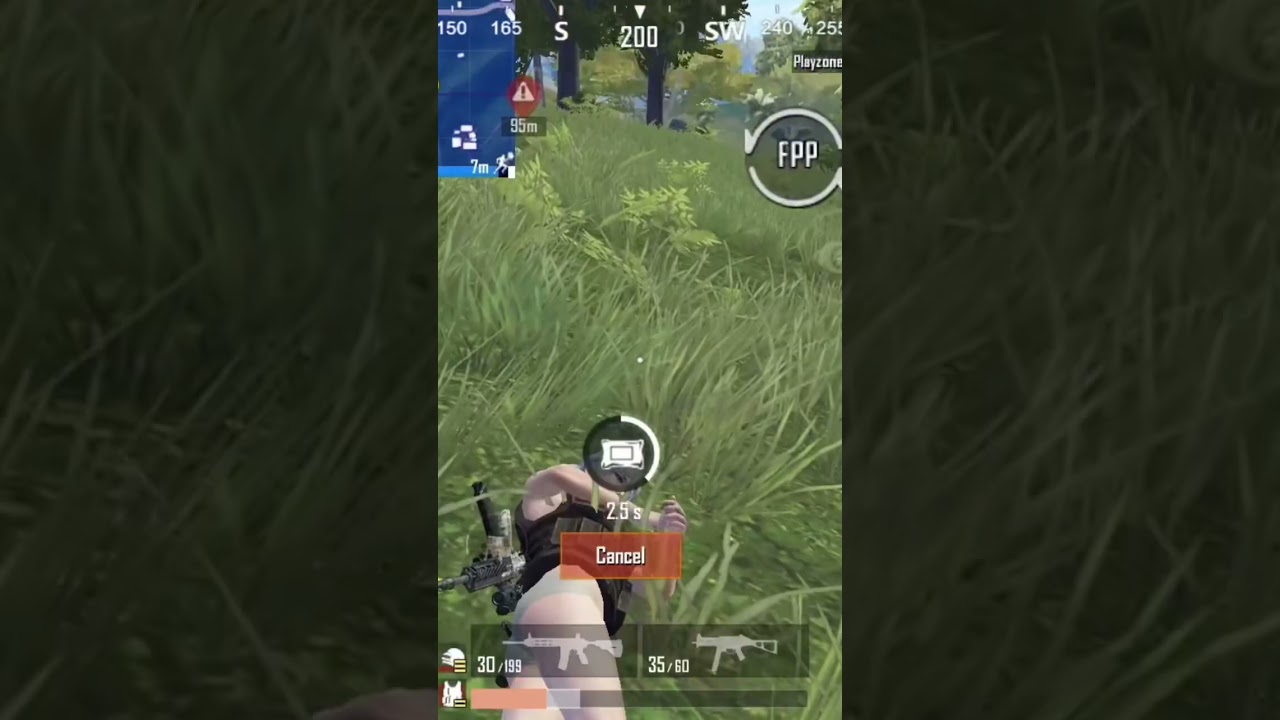 SOLO CHICKEN IN COMPETITIVE