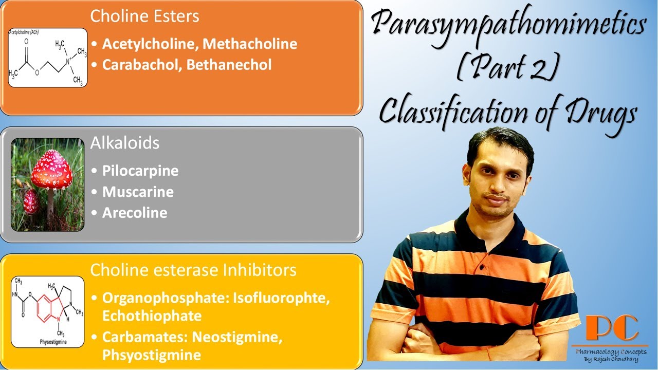 Parasympathomimetics (part 2) Classification of parasympathomimetics