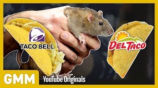 Which Fast Food Do Rats Prefer? (EXPERIMENT)