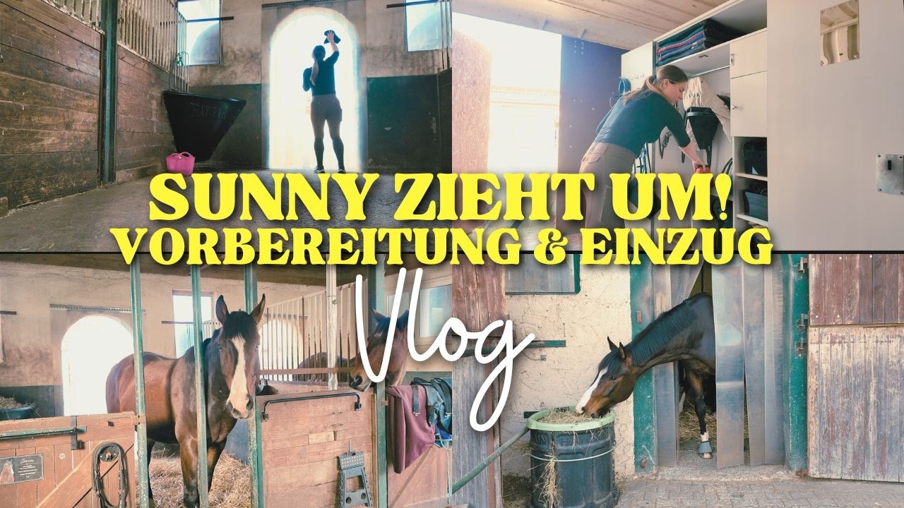 Sunny zieht nochmal um...