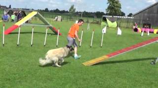 Rumba Vast Parcours Finale Ibac 20160717