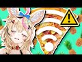 Polka's opinion on pineapple pizza