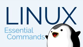 The 12 Most Important Linux Commands (With Examples)