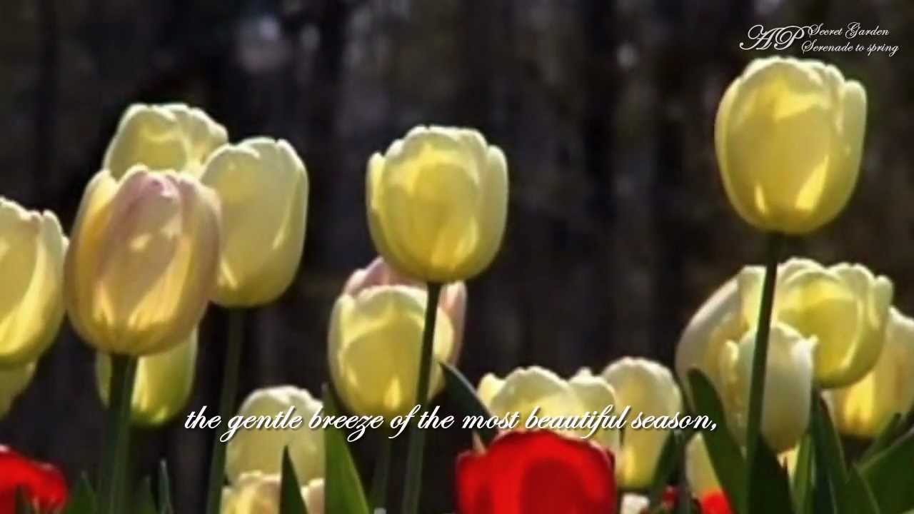 Serenade to Spring SECRET GARDEN YouTube