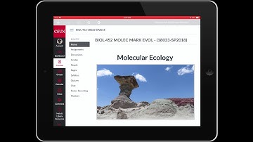 Student_Quiz using Respondus