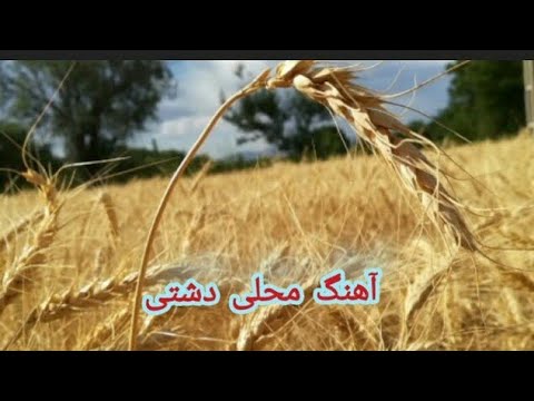 دشتی ونی غمگین شروه اهنگ محلی دشتی شروه روح الله سلطانی 