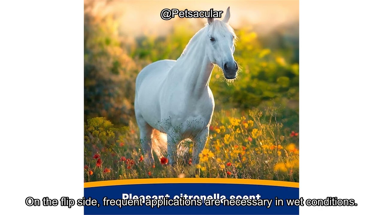 Farnam Broncoe Fly Spray Plus Citronella Review – Worth It for Pets & Premises?