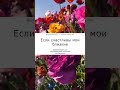 МОЩНЫЕ АФФИРМАЦИИ НА КАЖДЫЙ ДЕНЬ // Счастлив и я