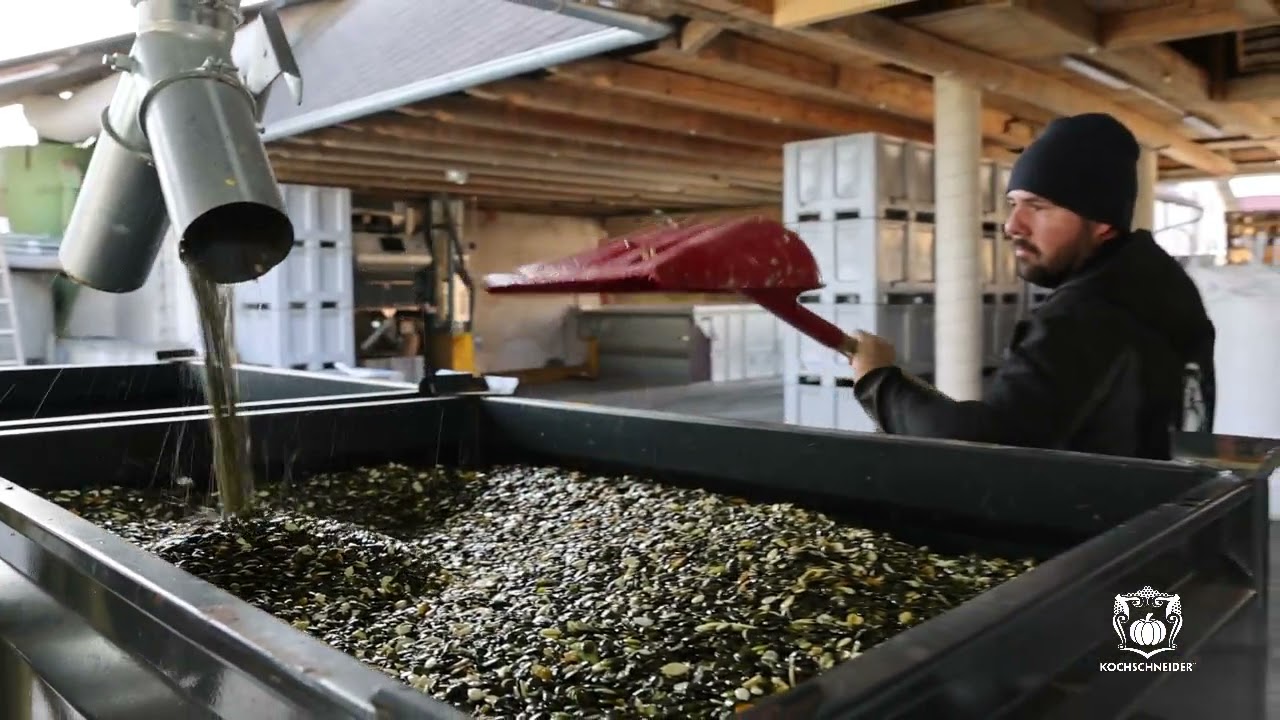 Kürbiskerne Waschen, Trocknen und A- Ware Sortierung