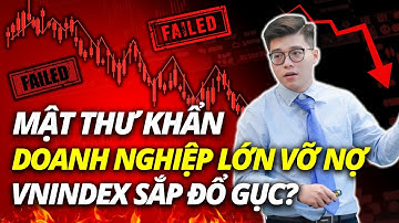 MỘT DOANH NGHIỆP CỰC LỚN BẤT NGỜ VỠ NỢ KÉO VNINDEX ĐỔ GỤC?? | ĐẦU TƯ CHỨNG KHOÁN