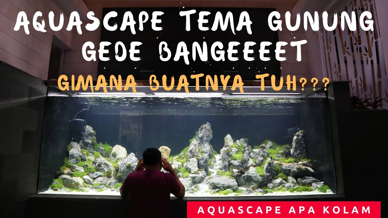 Proses Pembuatan Aquascape Tema Gunung, Gede Banget Akuariumnya  Buatnya Aja Dari Dalem