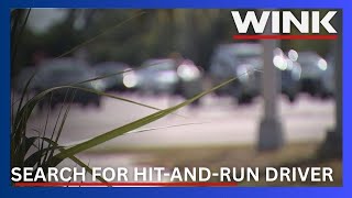 Fhp Finds Cars Involved In Deadly Hit-And-Run, Still Searching For Drivers