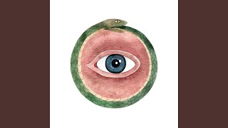 Exploring the LCS (Developing a Bigger Picture)