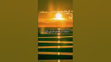 واتس اب قران كريم القارئ ياسر الدوسري من سورة (هود)
