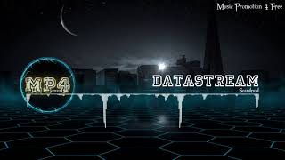 Datastream by Scandroid - [Electro Music] Net Worth