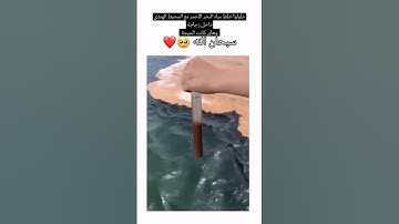 سورة الرحمن #سورة_الرحمن  #اسلام_صبحي #عمير_شميم  #القران_الكريم