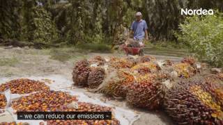 Sustainable Finance Nordea Investigates The Palm Oil Industry
