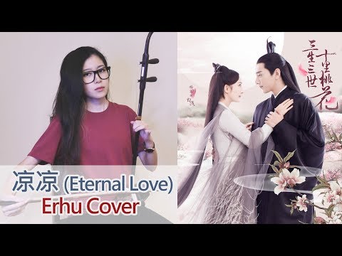 Eternal Love 三生三世十里桃花《凉凉》Erhu (二胡) Cover