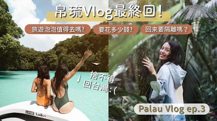 旅遊泡泡最終回！帛琉不出海能玩什麼？走進帛琉最大瀑布裡、跟當地人的秘密行程、帛琉颱風天能幹麻？回國防疫總整理 - 天天要聞