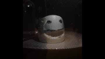 Face melting MARSHMALLOWS? 🤭 the ultimate microwave test🫣 #shorts