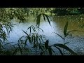 Michel Pépé - Rêve Du Temps ／ ( "Fleeting Summer" 夏の終わり）