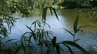 Michel Pépé - Rêve Du Temps ／ ( "Fleeting Summer" 夏の終わり）
