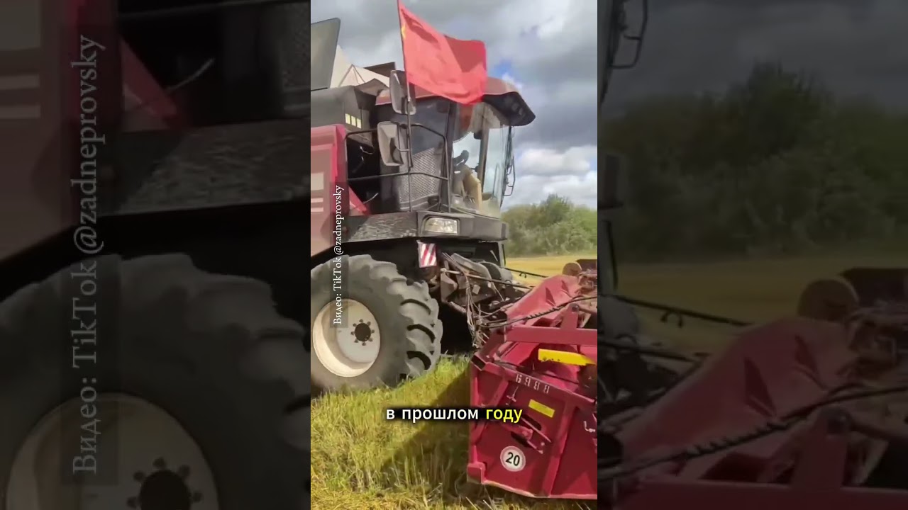 Суициды в сельском хозяйстве Витебщины становятся системной трагедией