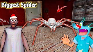 Biggest Spider in house of Granny Chapter two With Oggy and Jack