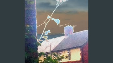 Memory Disintegration