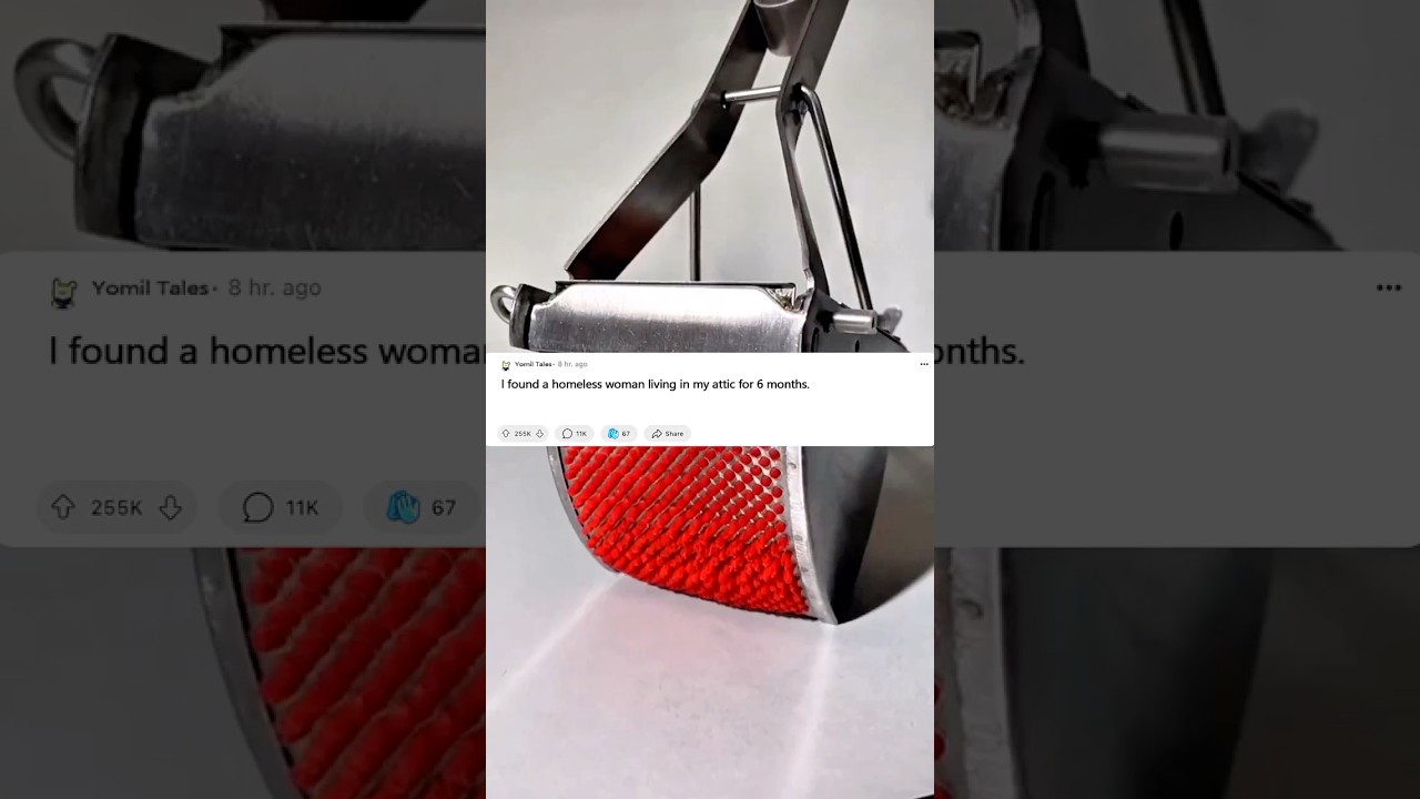 Homeless Woman Lived in My Attic for 6 Months, Discovery Shocking