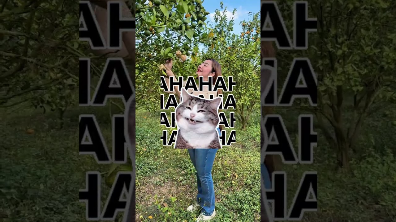 October 1, 2026