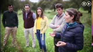 La falta de rentabilidad acelera el abandono de las dehesas