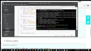 Celebrity Node.js #6 mariadb 연결(Windows) Profile