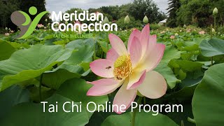 Meridian Connection Tai Chi 2020 Online Training Program Video screenshot 4