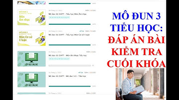 MÔ ĐUN 3 | TIỂU HỌC | ĐÁP ÁN BÀI TẬP CUỐI KHÓA = LÀM NHANH TRONG 30 PHÚT