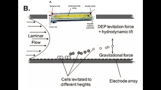 Detecting Water Contaminants Faster Early Warning