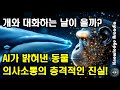 개와 대화하는 날이 올까? AI가 밝혀낸 동물 의사소통의 충격적인 진실!