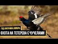 Охота на тетерева с чучелами, Ноябрь / Год охотника / #8