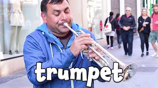 Musical Instrument Sounds