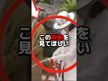 紀子様のあざとさを見抜けなかった末路 #海外の反応 #shorts #天皇皇后両陛下