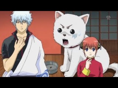銀魂 265話 食糧難 Youtube