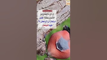 القران الكريم ما تيسر من سورة يونس  ماهر  المعيقلي  holy quran