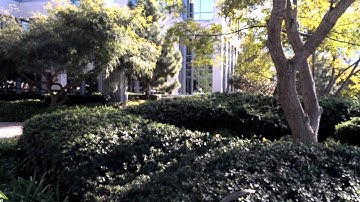 Motorola Atrix 2 - Video Sample