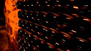 フランス「モエ・エ・シャンドン」本社でドンペリに囲まれる☆