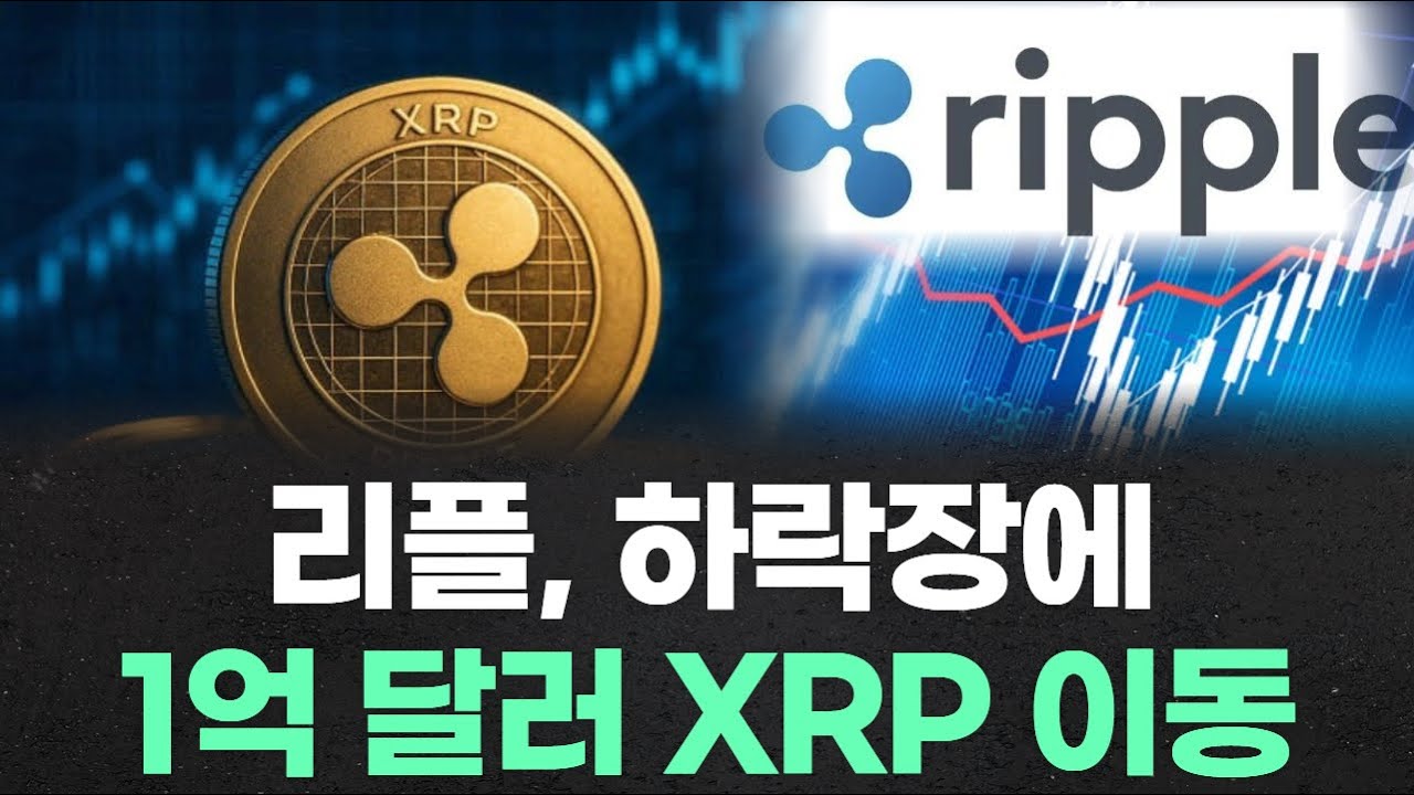 리플, 하락장에 1억 달러 XRP 이동 - YouTube